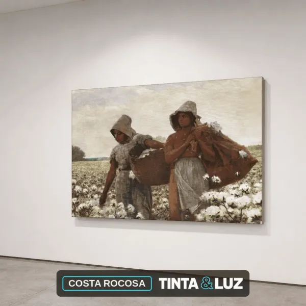 COSTA ROCOSA