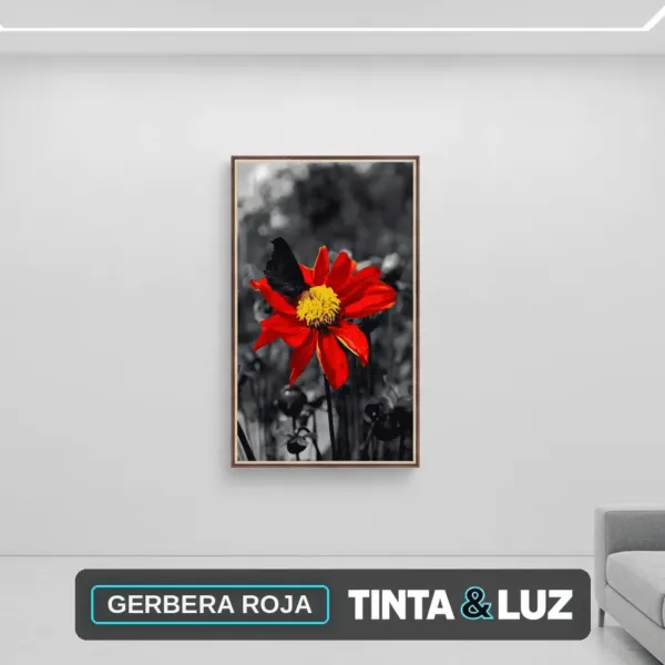 GERBERA ROJA