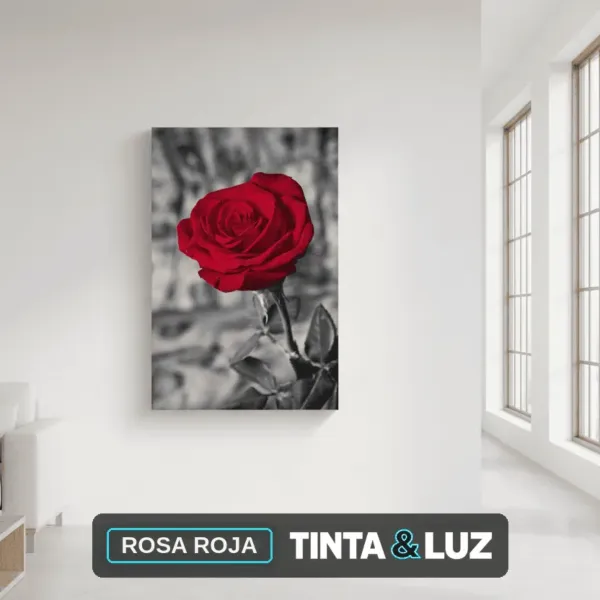 ROSA ROJA