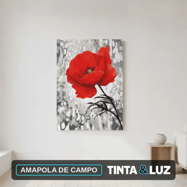 AMAPOLA DE CAMPO