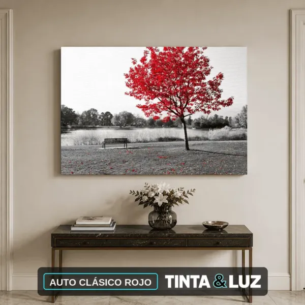 AUTO CLÁSICO ROJO