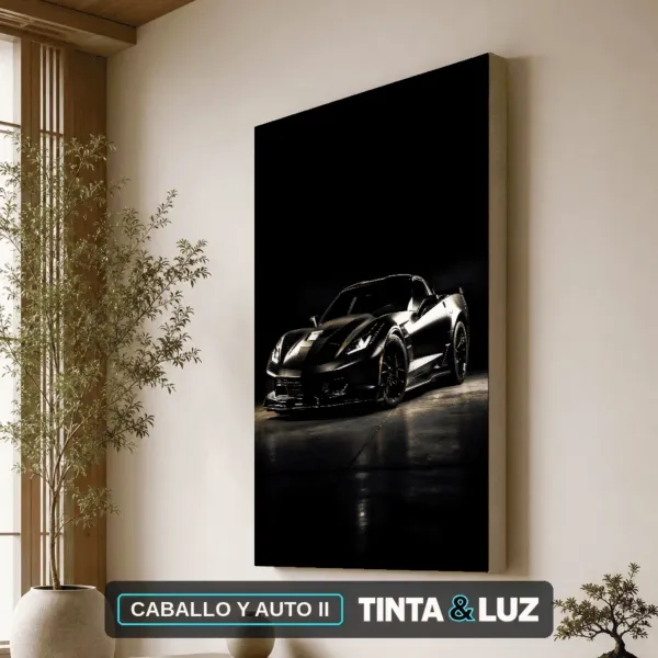 CABALLO Y AUTO II