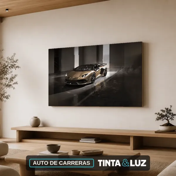 AUTO DE CARRERAS