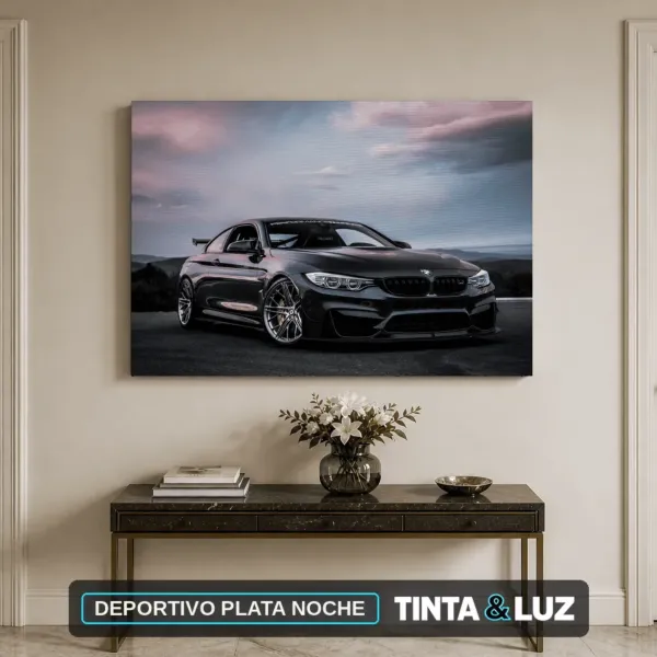 DEPORTIVO PLATA NOCHE