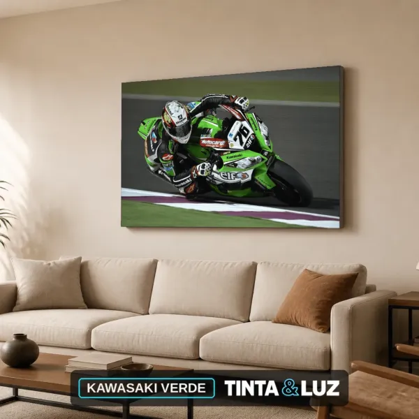 KAWASAKI VERDE