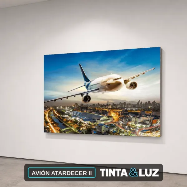 AVIÓN ATARDECER II