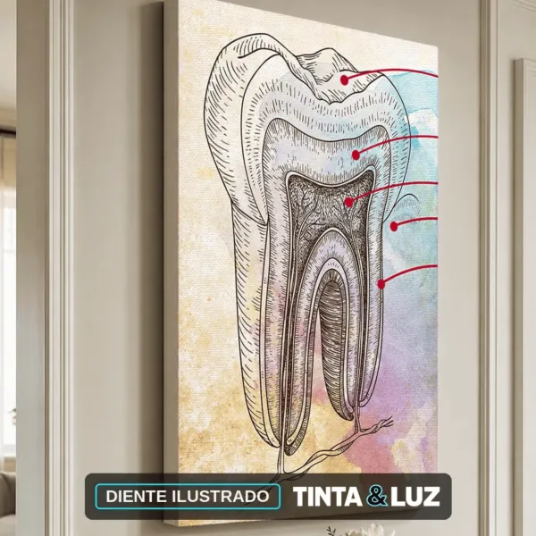 DIENTE ILUSTRADO
