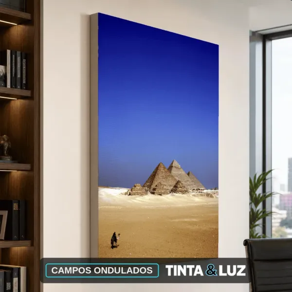 CAMPOS ONDULADOS