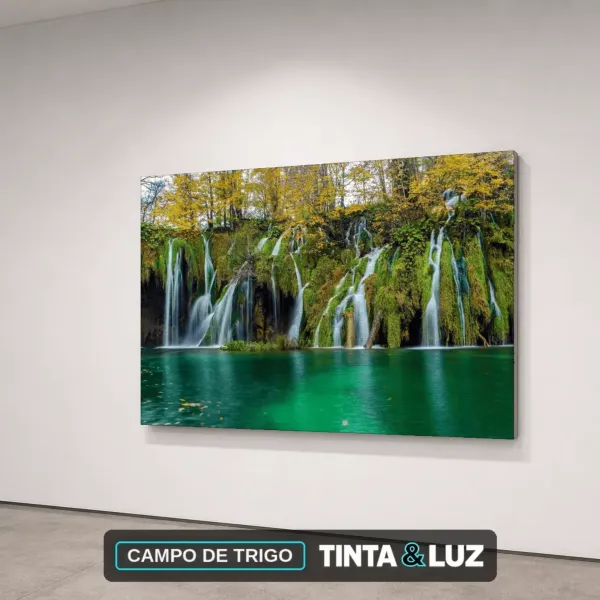 CAMPO DE TRIGO