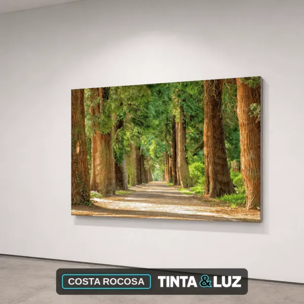 COSTA ROCOSA
