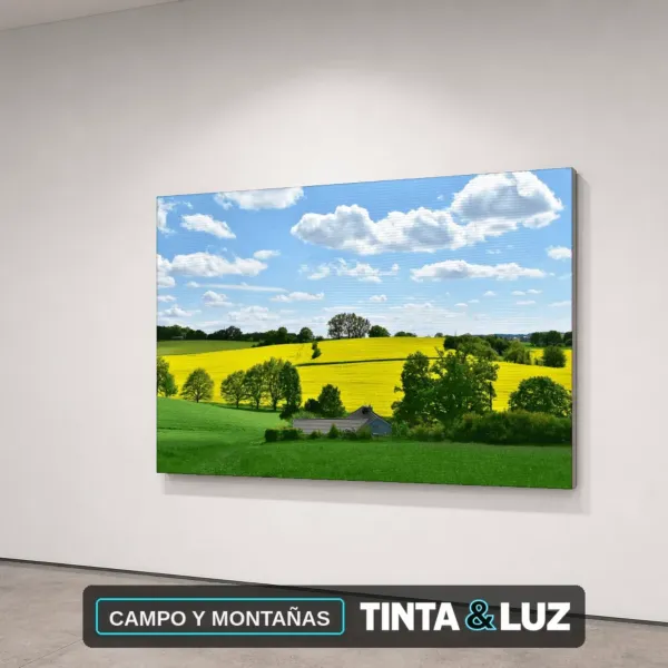 CAMPO Y MONTAÑAS