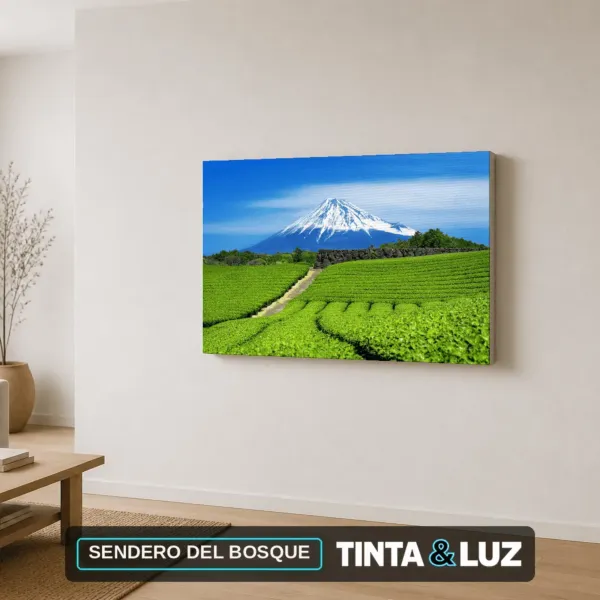 SENDERO DEL BOSQUE