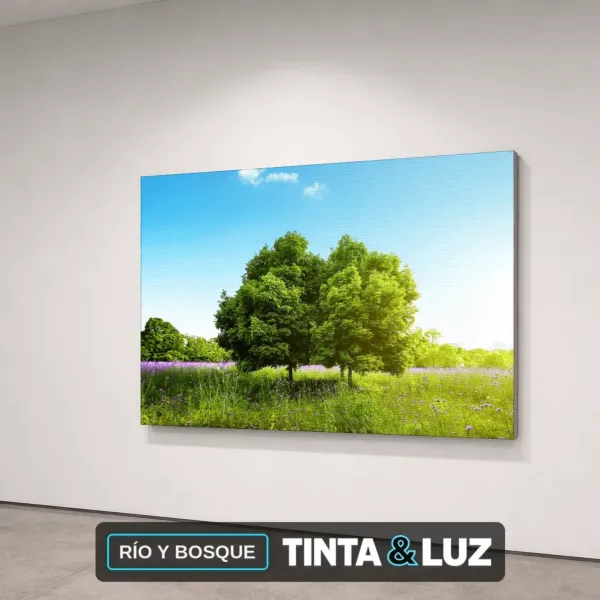 RÍO Y BOSQUE