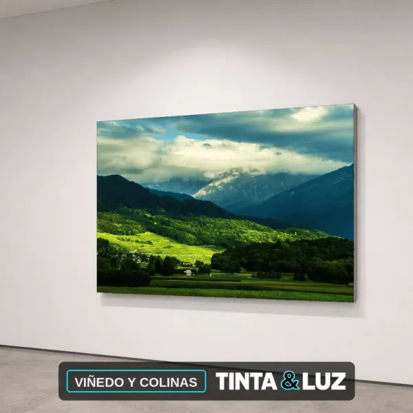 VIÑEDO Y COLINAS