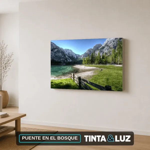 PUENTE EN EL BOSQUE