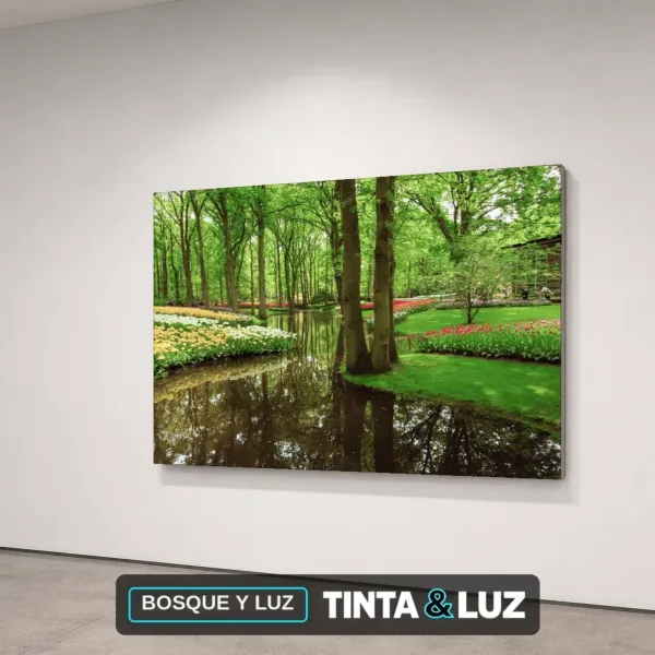 BOSQUE Y LUZ