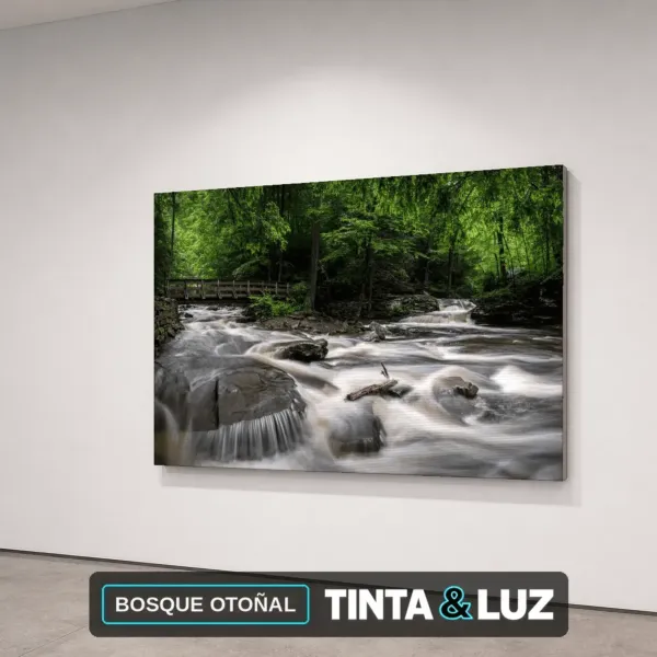 BOSQUE OTOÑAL