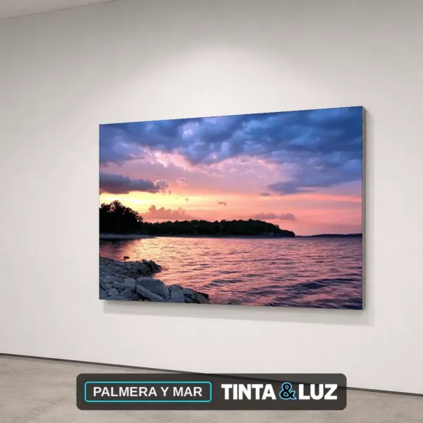 PALMERA Y MAR