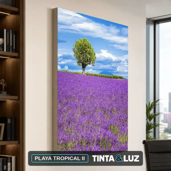 PLAYA TROPICAL II