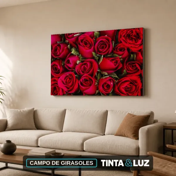 CAMPO DE GIRASOLES