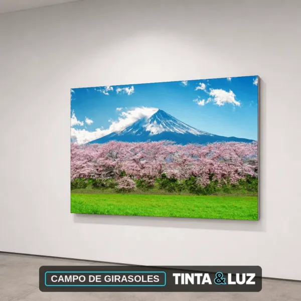 CAMPO DE GIRASOLES