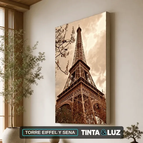 TORRE EIFFEL Y SENA