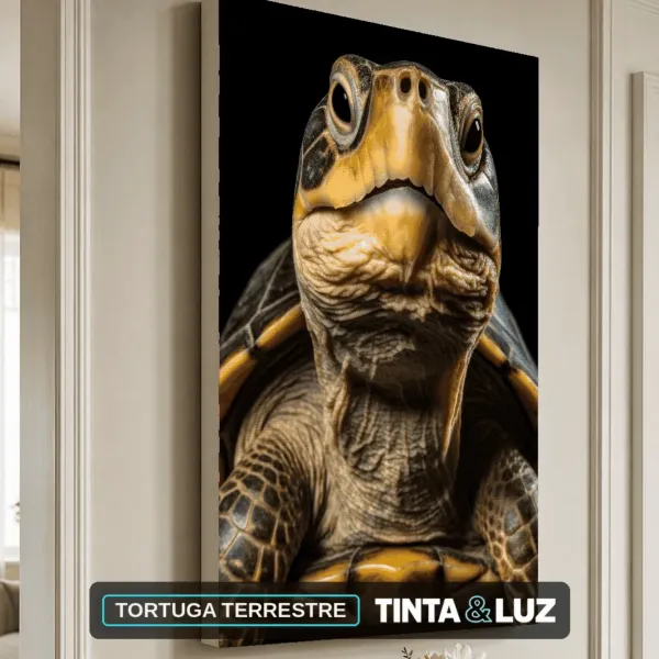 TORTUGA TERRESTRE