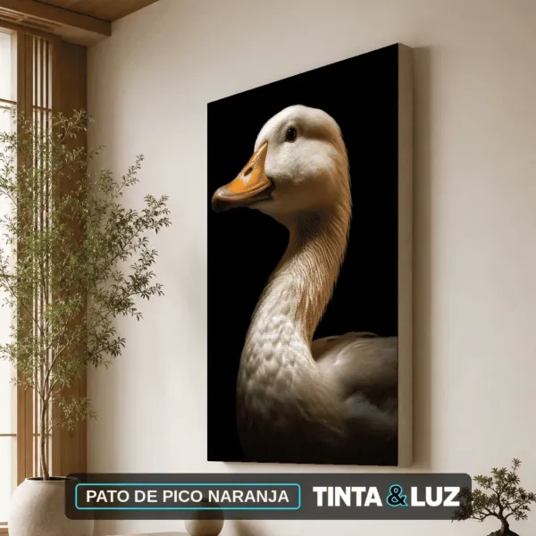 PATO DE PICO NARANJA
