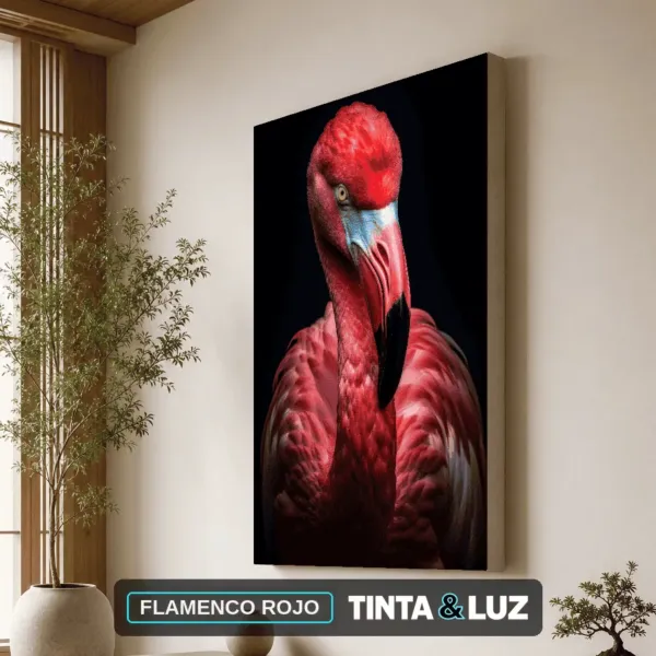 FLAMENCO ROJO