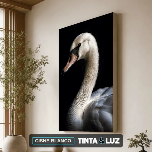 CISNE BLANCO