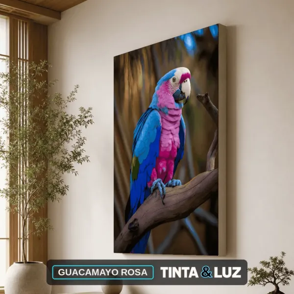 GUACAMAYO ROSA