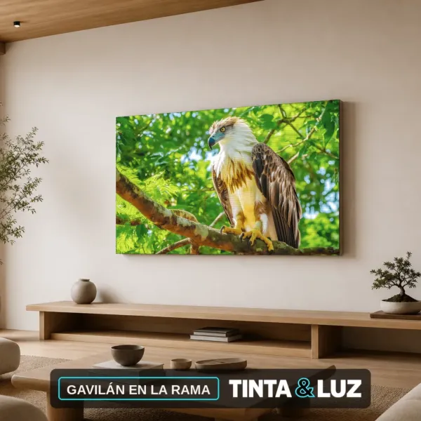 GAVILÁN EN LA RAMA