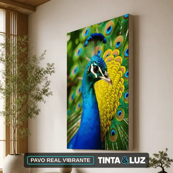 PAVO REAL VIBRANTE