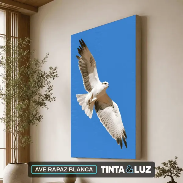 AVE RAPAZ BLANCA