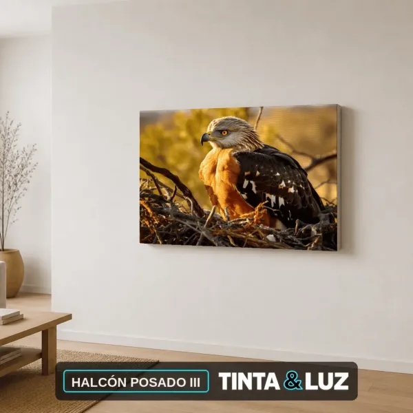 HALCÓN POSADO III