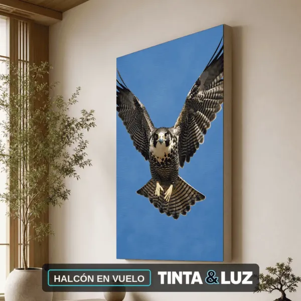 HALCÓN EN VUELO