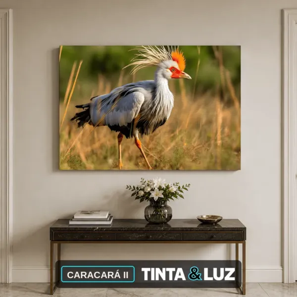 CARACARÁ II