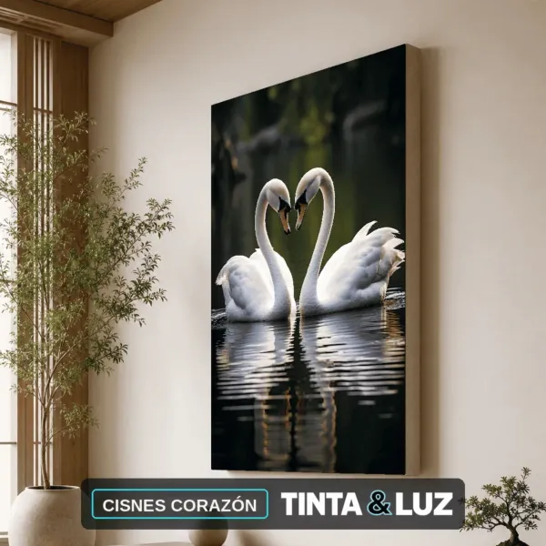CISNES CORAZÓN