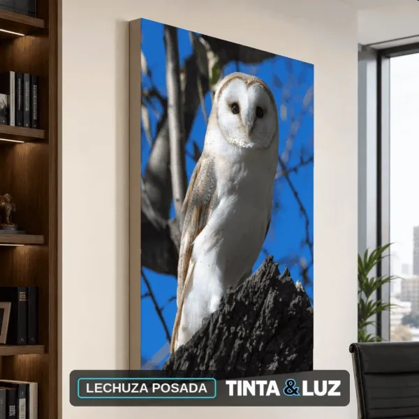 LECHUZA POSADA