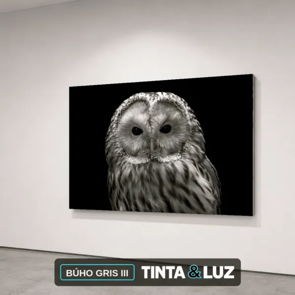 BÚHO GRIS III