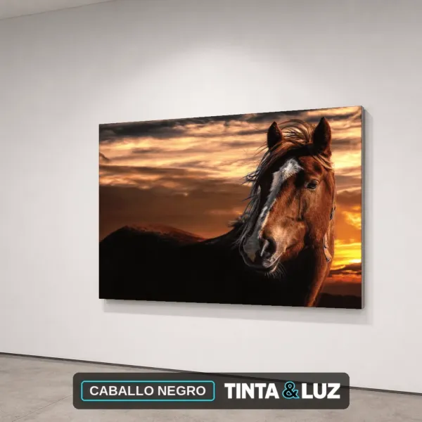 CABALLO NEGRO