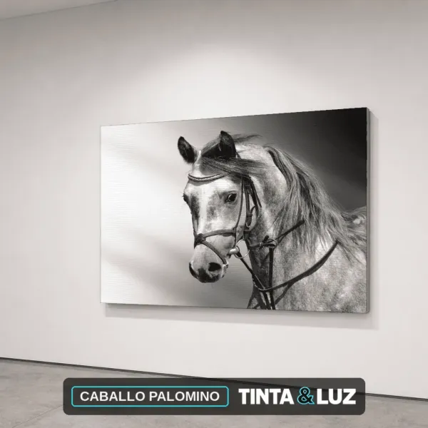CABALLO PALOMINO