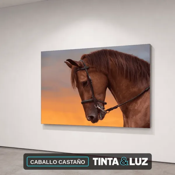 CABALLO CASTAÑO