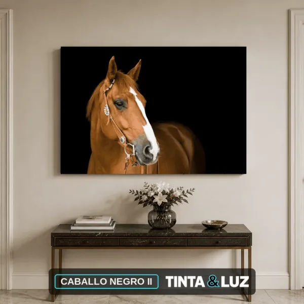 CABALLO NEGRO II