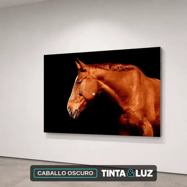CABALLO OSCURO