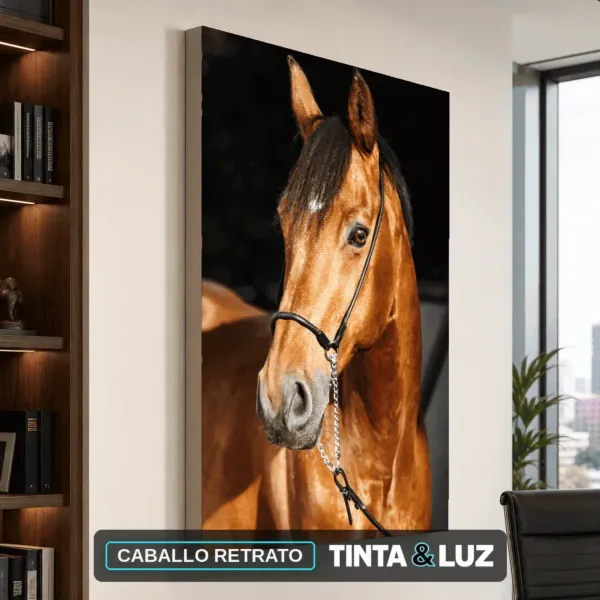 CABALLO RETRATO