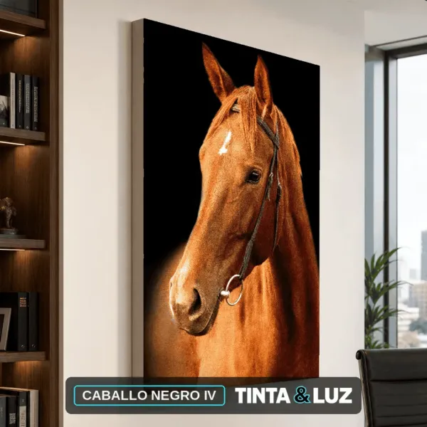 CABALLO NEGRO IV