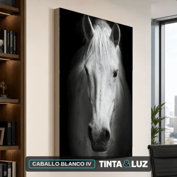 CABALLO BLANCO IV
