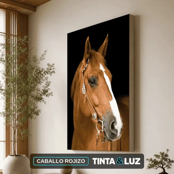 CABALLO ROJIZO