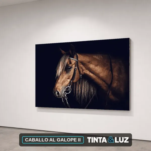 CABALLO AL GALOPE II